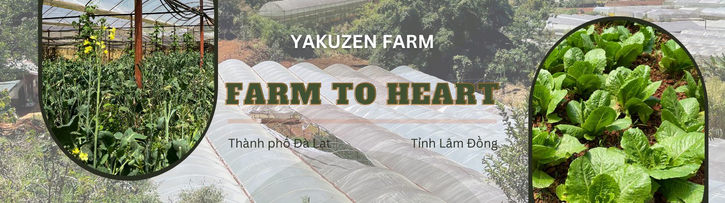 YAKUZEN FARM - FARM TO HEART - TỪ NÔNG TRẠI ĐẾN TRÁI TIM