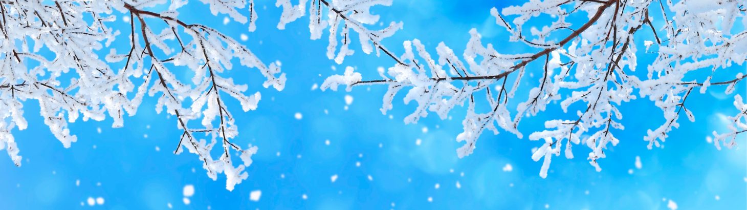 🍲 𝐁𝐎̣̂ Đ𝐎̂𝐈 𝐌𝐔̀𝐀 𝐋𝐀̣𝐍𝐇 – 𝐕𝐈̣ 𝐀̂́𝐌 𝐗𝐔̛́ 𝐏𝐇𝐔̀ 𝐓𝐀𝐍𝐆 🍲